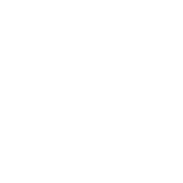 Wheel Alignment Icon
